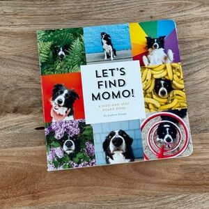 Let’s Find MoMo Board Book